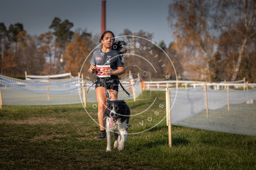 CaniXpix_0L8A9415 | Hundefotografie, Tierfotograf, Pfotenfotografie, Fotoshooting Hund, Hunde Portrait, Hundesport, Hundeportraits, Heideshooting, Hunde, Sportfotograf, Hundefotograf, Turnierhundsport, THS,  - Realisiert mit Pictrs.com