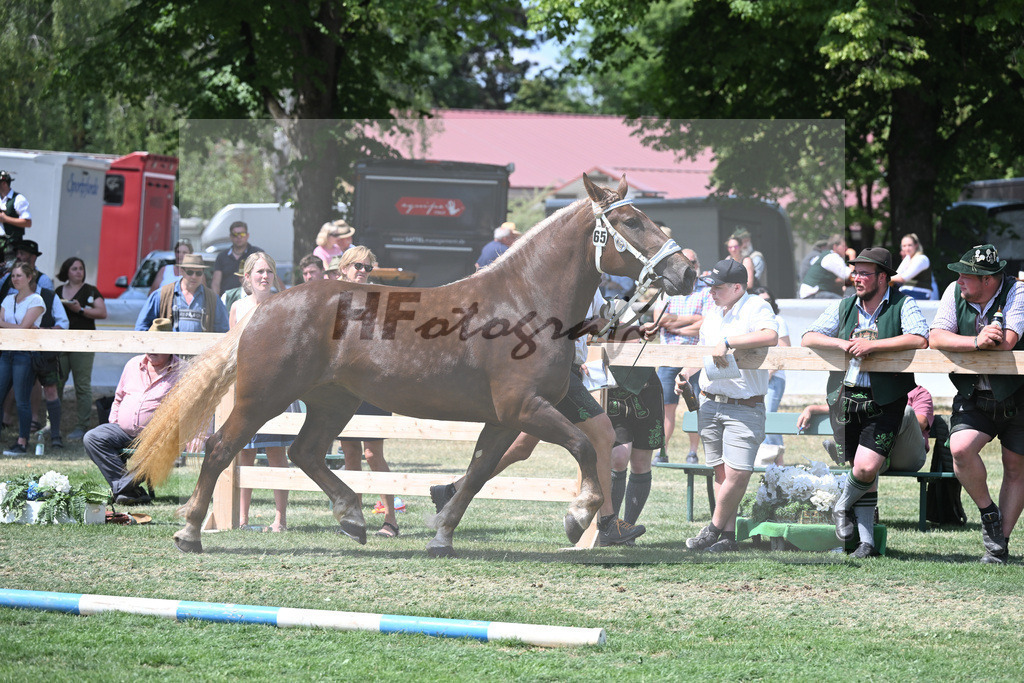 Kat-Nr. 65 Heidi_Hoeck_20231064 | hf-fotografie - Realisiert mit Pictrs.com
