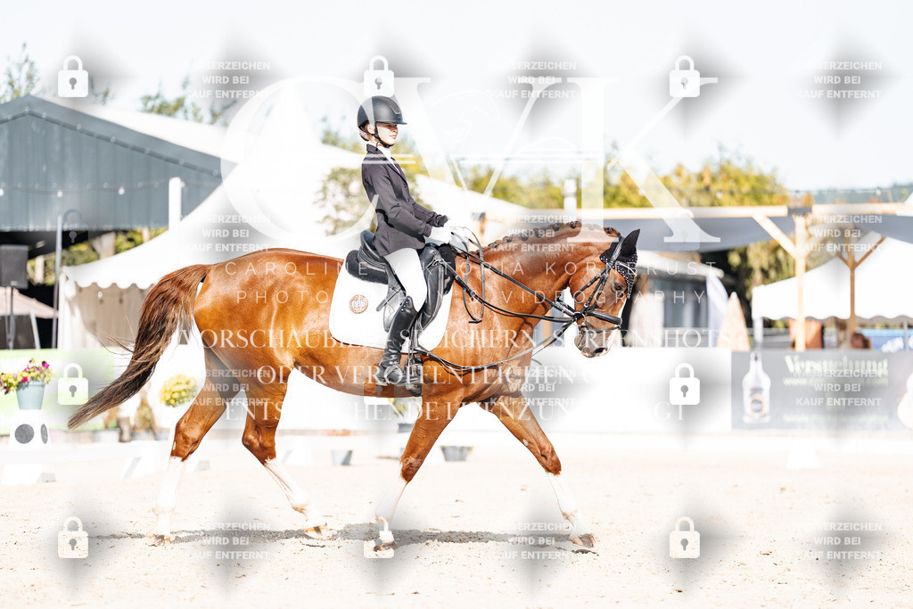 CK905584 | Turnierfotografie Pferdefotografie Trier Rheinland-Pfalz Pferdesport Reitsport Tierfotografie Sportfotografie Pferdevideo Pferdevideografie Equestrianvideography equestrianphotography  - Realisiert mit Pictrs.com