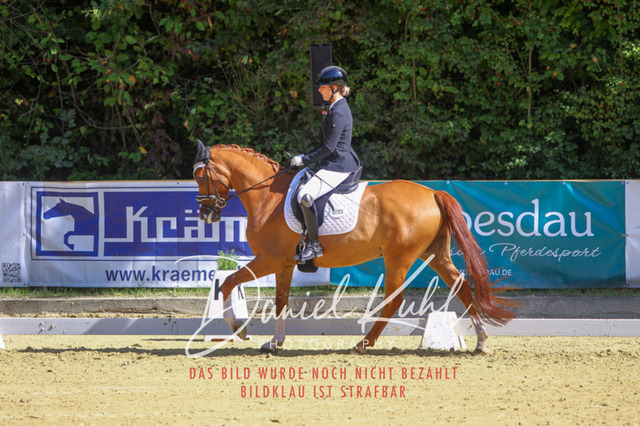 DKP41990 | Turniersportfotografie; Pferdefotografie; Dressurfotografie