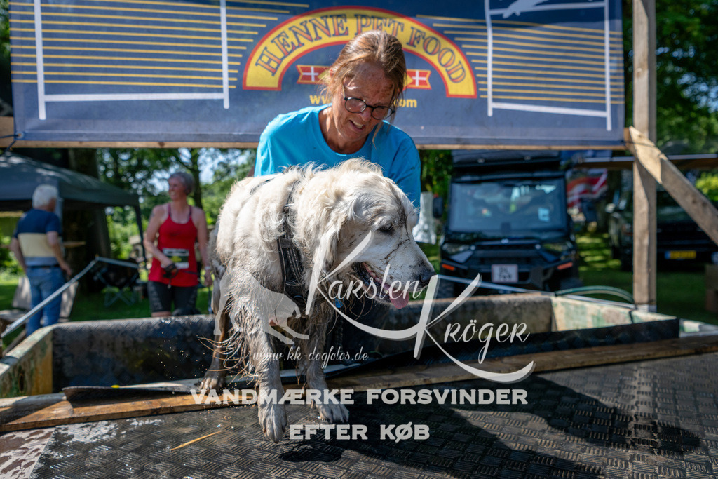 1243_ZZ91948 | kk-dogfotos