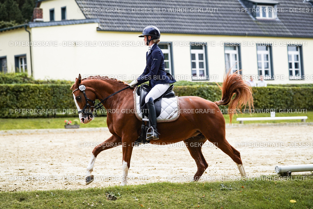 DSC07577 | Pferdegrafie