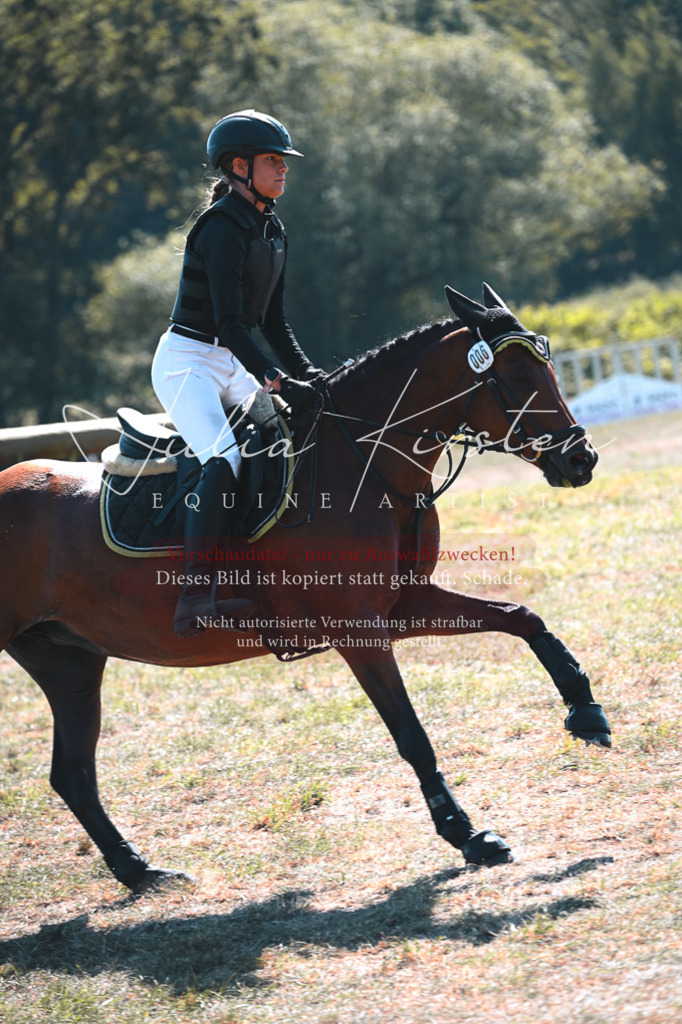 DSC_8172 | Pferde- und Turnierfotografie in Westsachsen. Pferdeportraits, Auftragszeichnungen und intuitive Kunst.