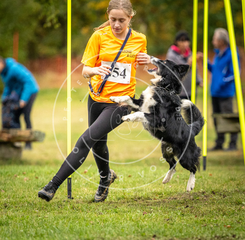 Pfotenfotografie_DV3A0566 | Hundefotografie, Tierfotograf, Pfotenfotografie, Fotoshooting Hund, Hunde Portrait, Hundesport, Hundeportraits, Heideshooting, Hunde, Sportfotograf, Hundefotograf, Turnierhundsport, THS,  - Realisiert mit Pictrs.com