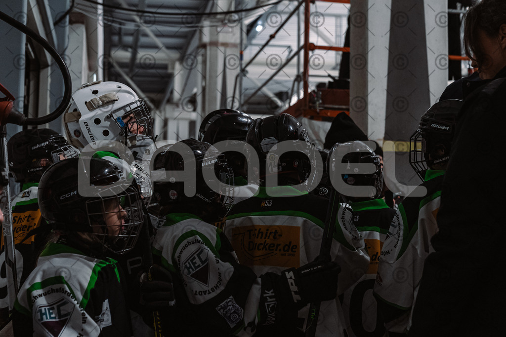 Alligators_vs_Deggendorf_30_11_2025-063 | Höchstadt Alligators Fotogalerie: Eishockey-Action aus Franken. Professionelle Spielfotos, Portraits & Stadionbilder zum Download. Jetzt entdecken! - Realisiert mit Pictrs.com