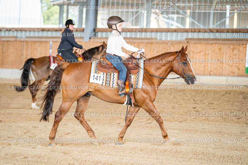 DSC08759 | Pferdegrafie