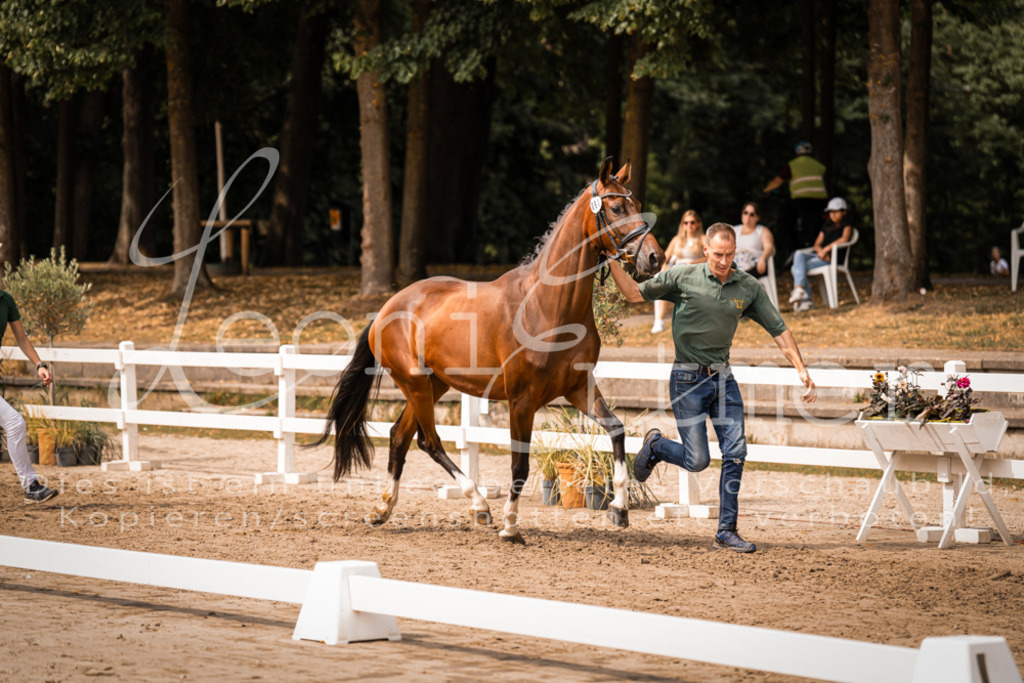 6.Fr00093 | Leoni Ertmer Photography - Realisiert mit Pictrs.com