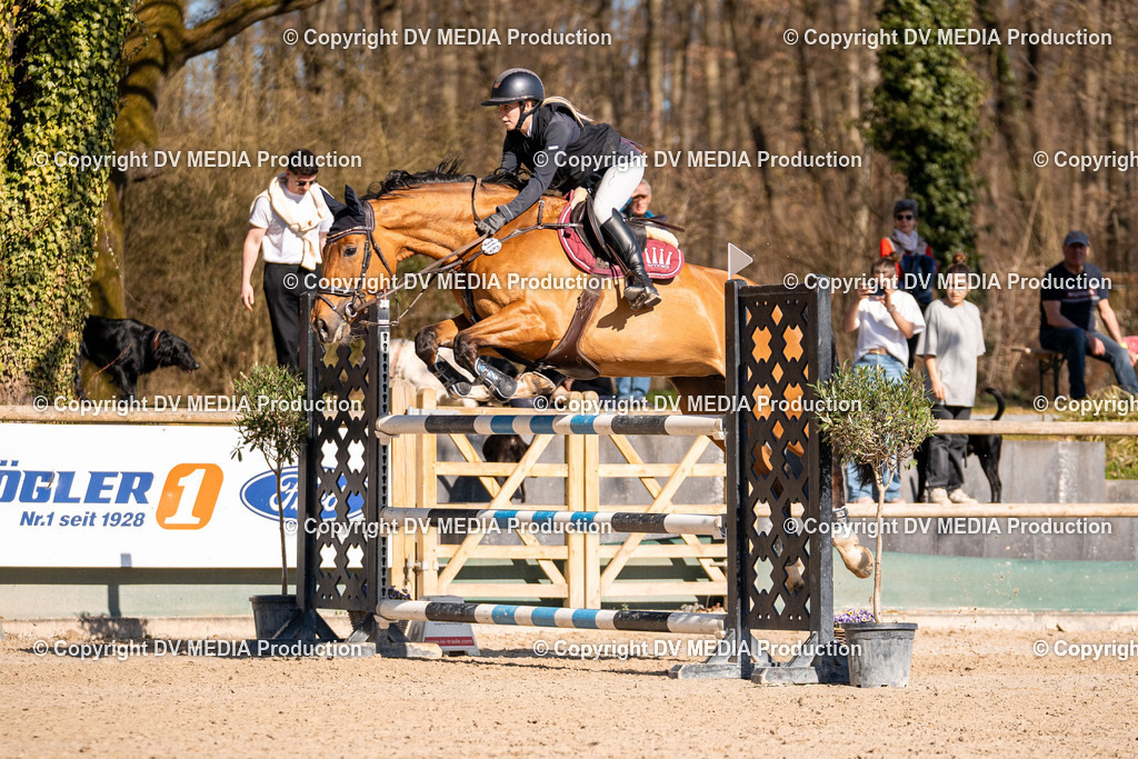 Kranichstein Tag 2-1024 | dv-media-shop - Realisiert mit Pictrs.com