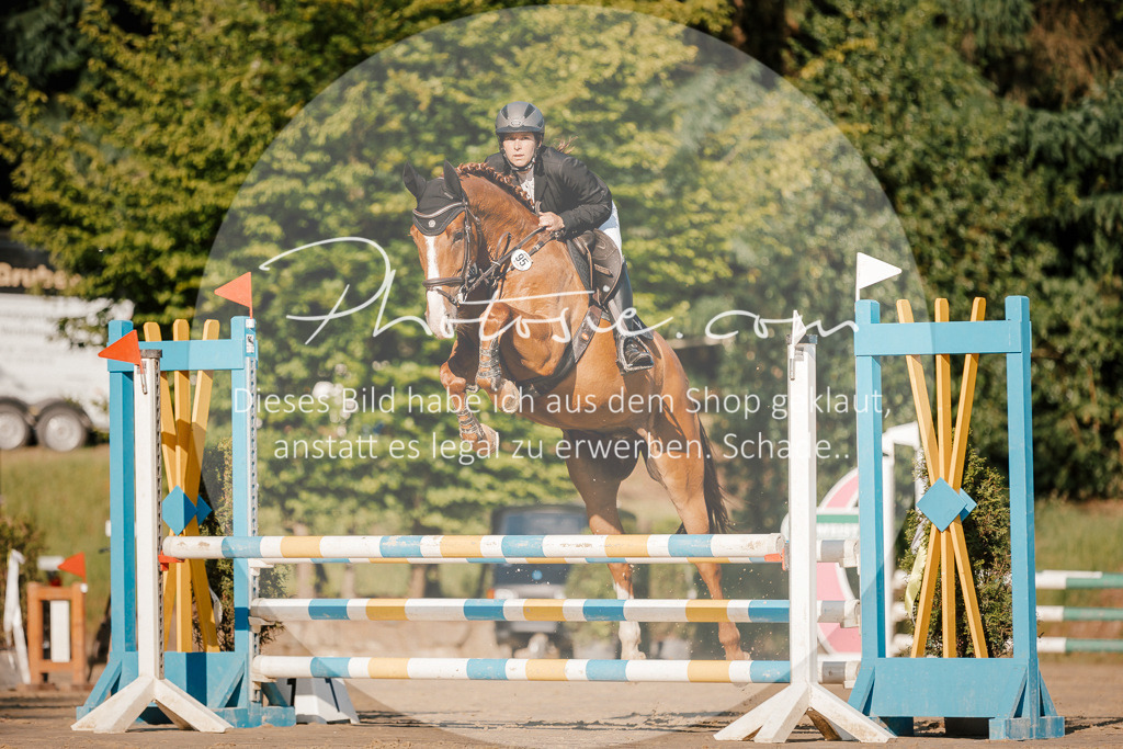 3I6A6162 | Stimmungsvolle Portraits und Reitsportfotografie im Ruhrgebiet und im Münsterland.

Pferdefotografie, Hundefotografie, Tierfotografie, Reportagen, Portraits von Tier und Mensch, Turnierfotografie in Bochum, Recklinghausen, Marl, Haltern am See, Dülmen.. - Realisiert mit Pictrs.com
