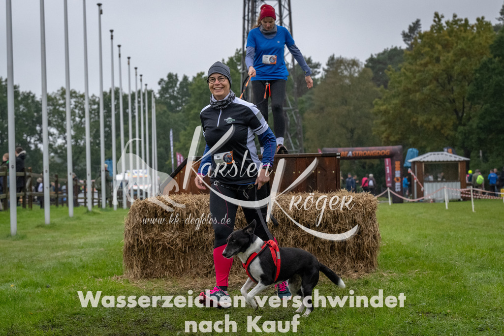 1117-94177 | kk-dogfotos