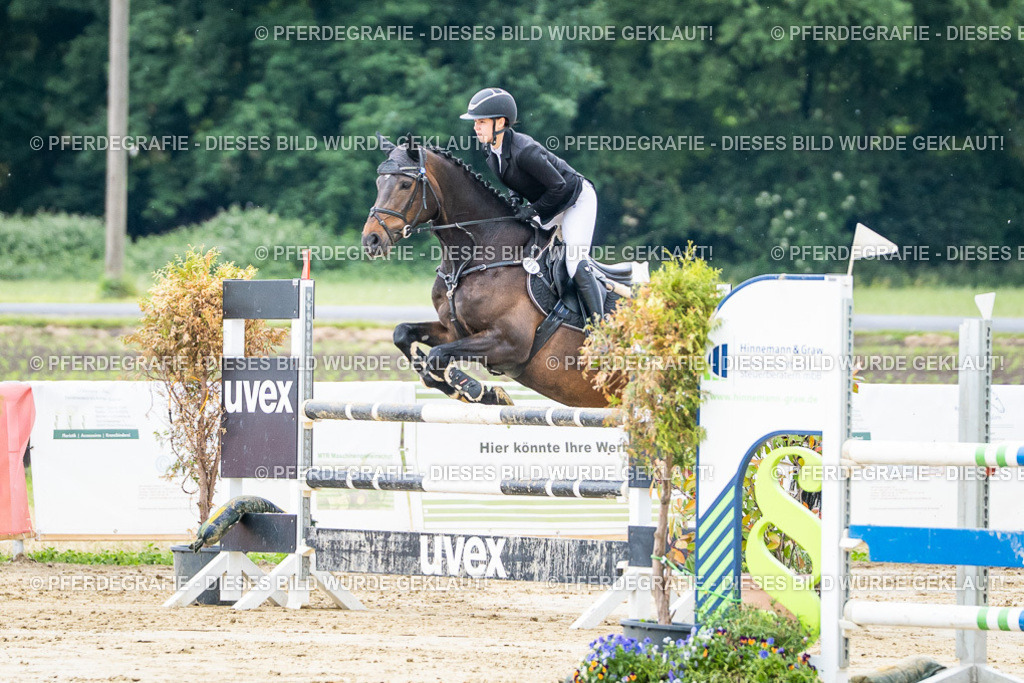 DSC04288 | Pferdegrafie