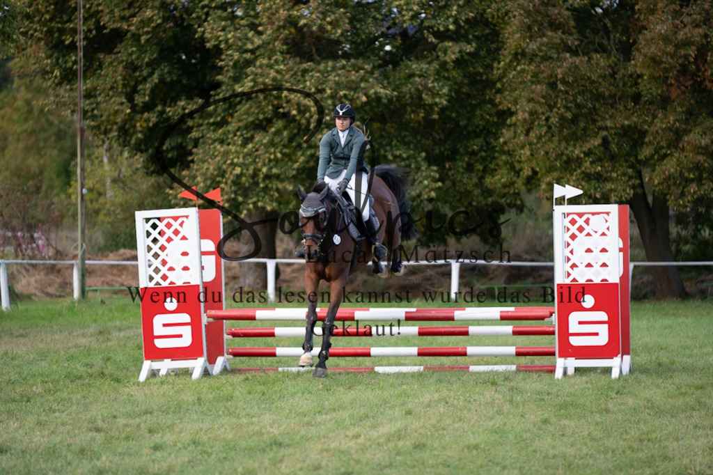 A7V06490 | Pferdefotograf