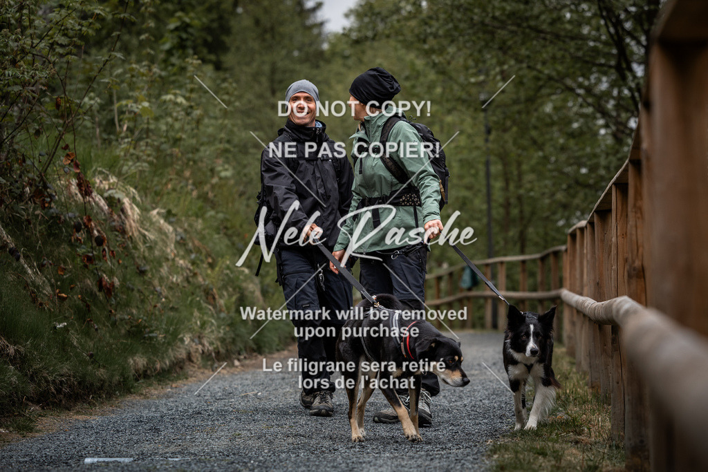 nelerasche_SaAbends_203 | nelerasche