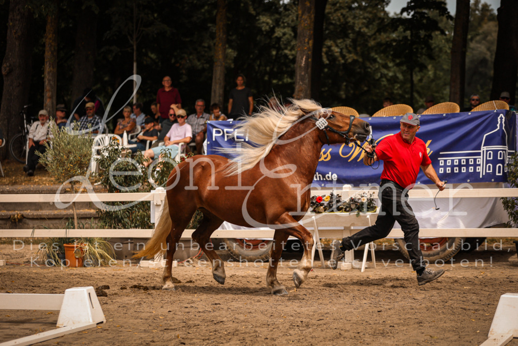 5.Sa00042 | Leoni Ertmer Photography - Realisiert mit Pictrs.com