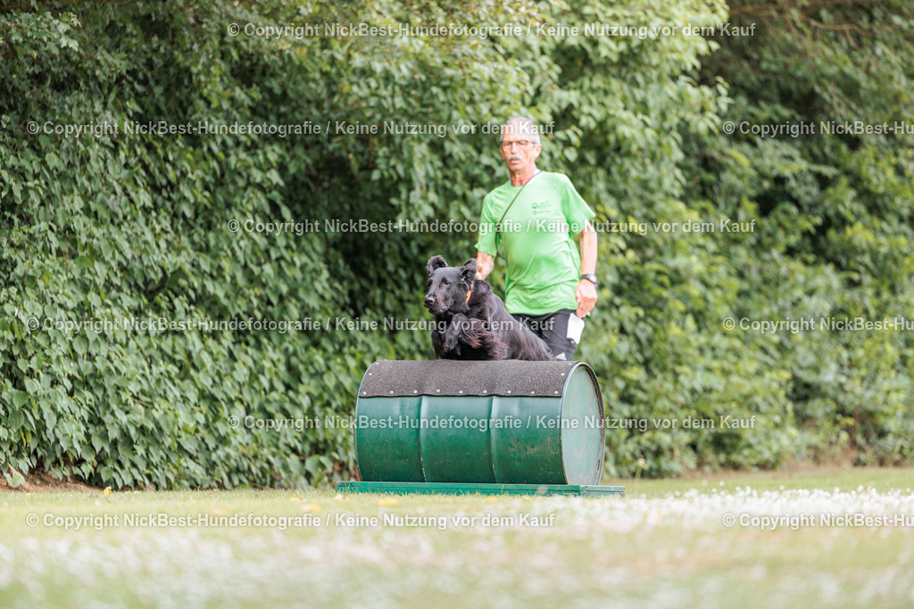 THS-Quakenbrück-2026-Nickbest-Hundefotografie-3331 | Dein Hund! Dein Moment! Deine Erinnerungen! Hundefotografie in Bremen Blumenthal. Ich fange die besonderen Momente deines Vierbeiners ein – ob Indoor mit Blitzanlage oder in der freien Natur. Sicher dir dein Moment und dein Termin für eure Erinnerungen.