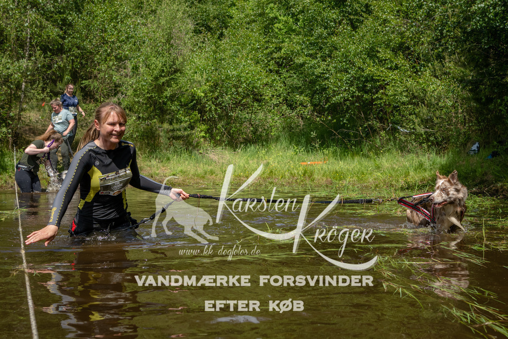 1215DKK992321 | kk-dogfotos