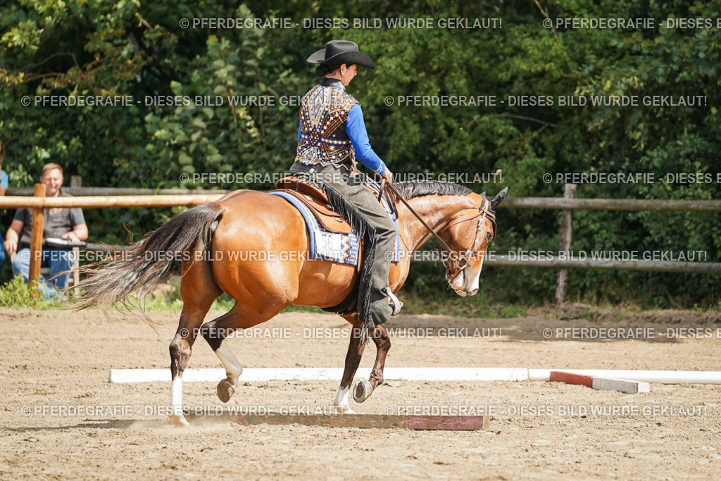 DSC06175 | Pferdegrafie