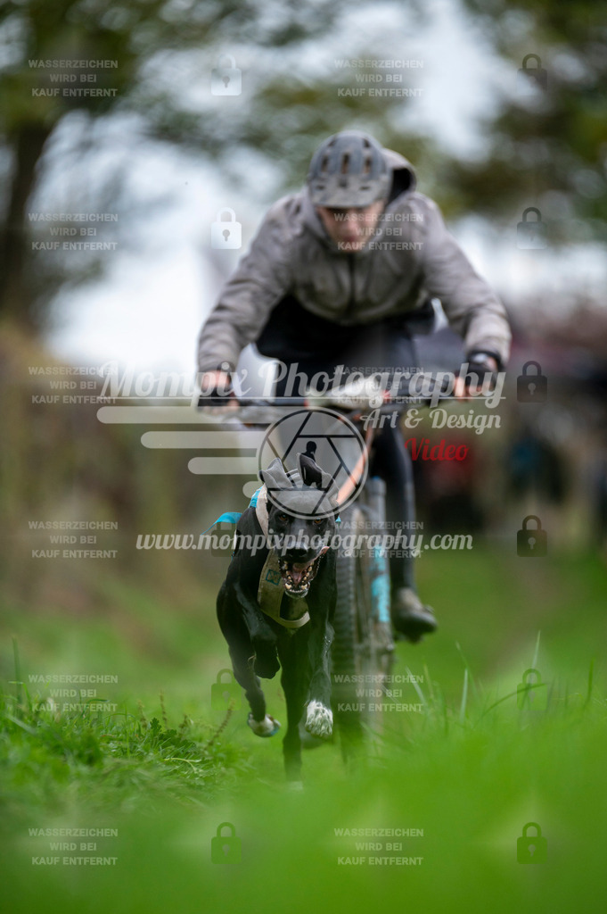TSB_2023_E8_Bike-8 | PayLife