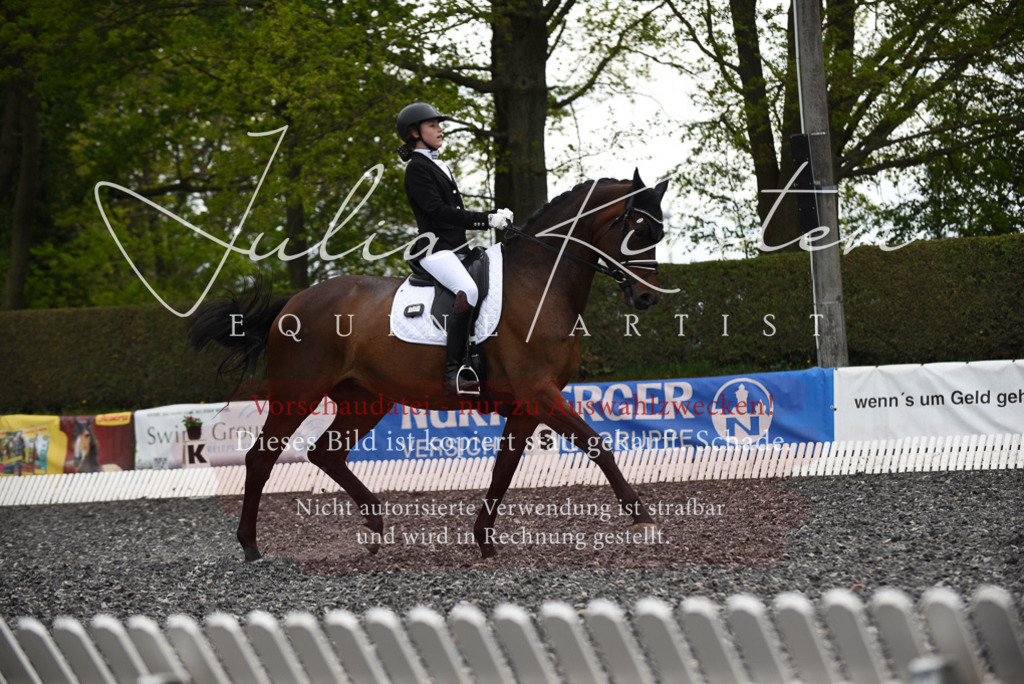 20230513_JK-Röhrsdorf-16-070 | Pferde- und Turnierfotografie in Westsachsen. Pferdeportraits, Auftragszeichnungen und intuitive Kunst.