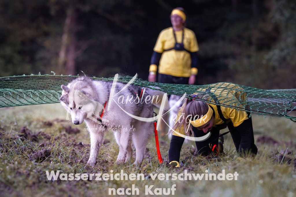 0840_ZZ90592 | kk-dogfotos