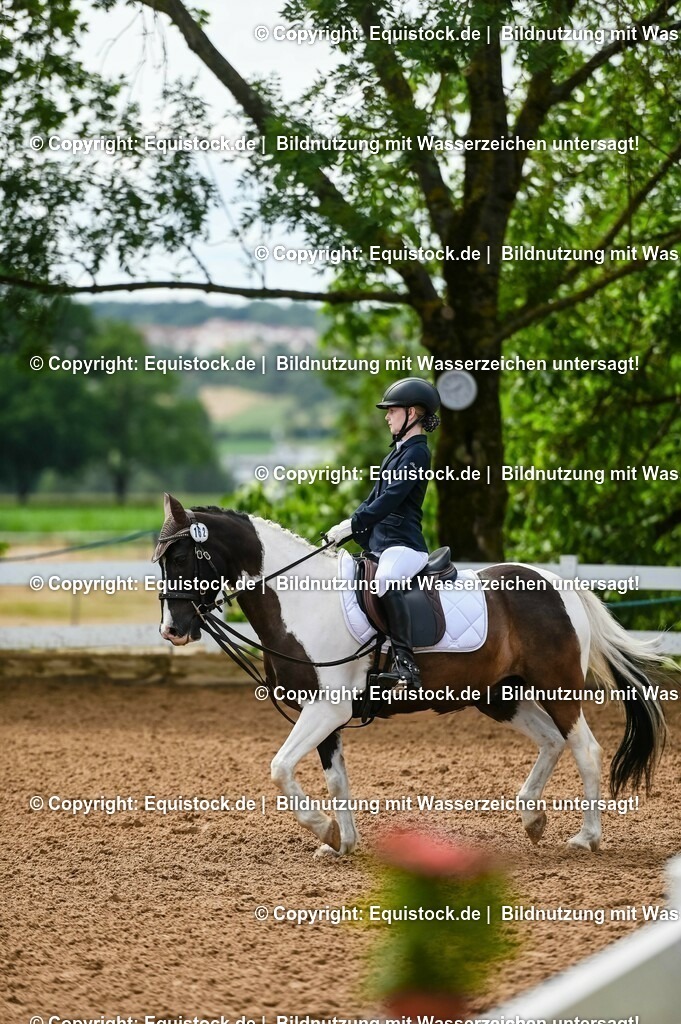 20230716_10-2_Reiter-WB Schritt - Trab - Galopp_0156 | equistock