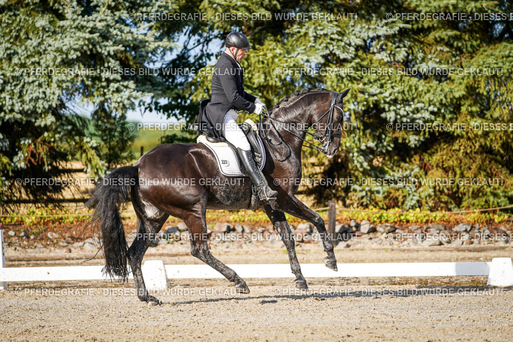 DSC00833 | Pferdegrafie