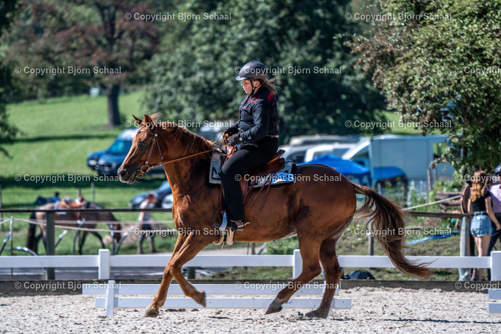 HOB08732 | BS-foto
