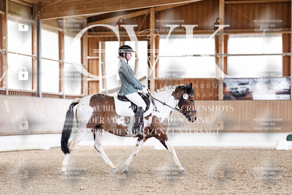 CK901100 | Turnierfotografie Pferdefotografie Trier Rheinland-Pfalz Pferdesport Reitsport Tierfotografie Sportfotografie Pferdevideo Pferdevideografie Equestrianvideography equestrianphotography  - Realisiert mit Pictrs.com