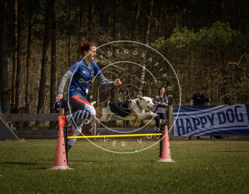 Pfotenfotografie_DV3A3583 | Hundefotografie, Tierfotograf, Pfotenfotografie, Fotoshooting Hund, Hunde Portrait, Hundesport, Hundeportraits, Heideshooting, Hunde, Sportfotograf, Hundefotograf, Turnierhundsport, THS,  - Realisiert mit Pictrs.com