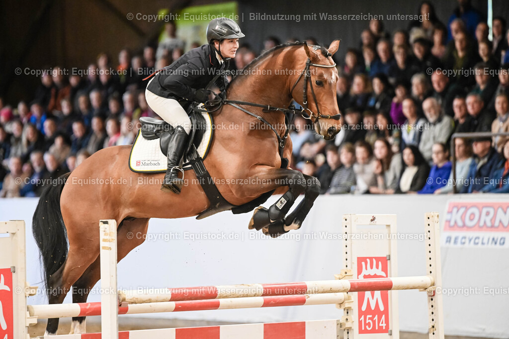 20260307_Hengstvorstellung-Marbach_0027 | equistock