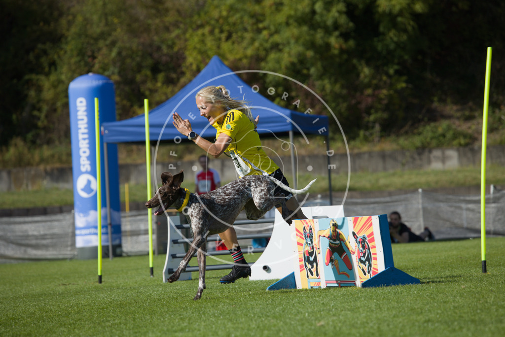 0L8A8220 | Hundefotografie, Tierfotograf, Pfotenfotografie, Fotoshooting Hund, Hunde Portrait, Hundesport, Hundeportraits, Heideshooting, Hunde, Sportfotograf, Hundefotograf, Turnierhundsport, THS,  - Realisiert mit Pictrs.com