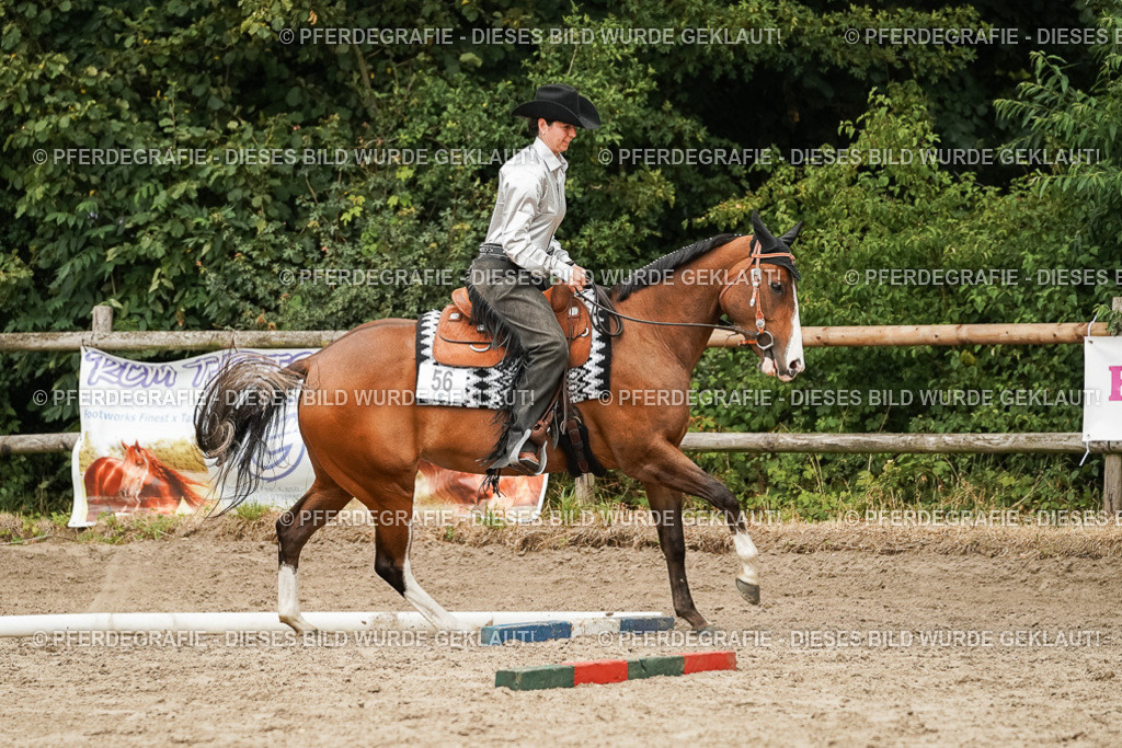 DSC08508 | Pferdegrafie