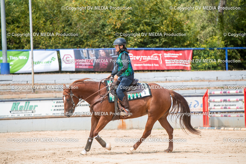 ZS3_9589 | dv-media-shop - Realisiert mit Pictrs.com