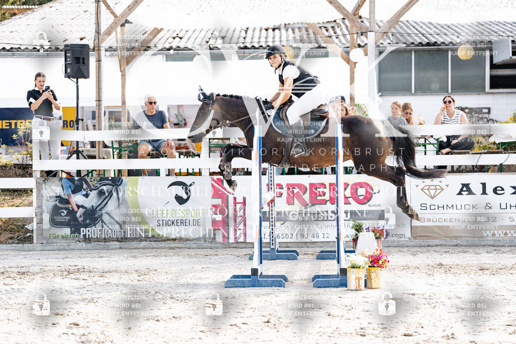 CK905749 | Turnierfotografie Pferdefotografie Trier Rheinland-Pfalz Pferdesport Reitsport Tierfotografie Sportfotografie Pferdevideo Pferdevideografie Equestrianvideography equestrianphotography  - Realisiert mit Pictrs.com