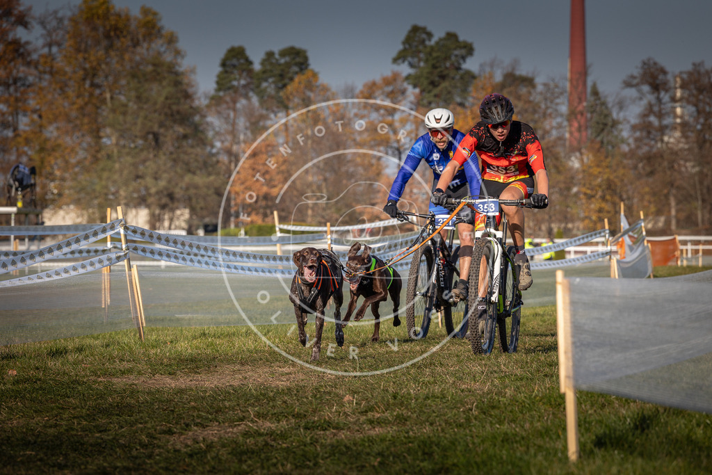 CaniXpix_0L8A6474 | Hundefotografie, Tierfotograf, Pfotenfotografie, Fotoshooting Hund, Hunde Portrait, Hundesport, Hundeportraits, Heideshooting, Hunde, Sportfotograf, Hundefotograf, Turnierhundsport, THS,  - Realisiert mit Pictrs.com