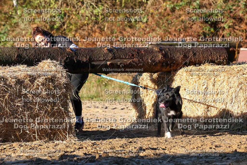 Dog Paparazzi - Strongdog 10-25-1038 | Dog Paparazzi Jeanette Grottendiek Fotografie & Videografie - Realisiert mit Pictrs.com