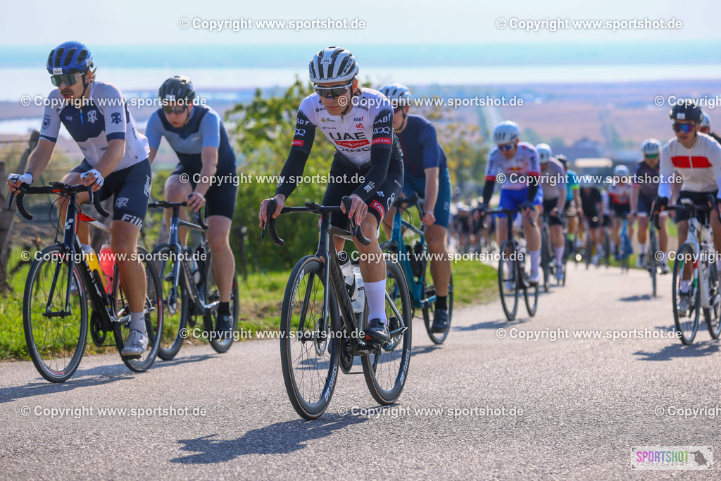 TRA_0159 | Neusiedlersee Radmarathon 2026@sportshot_your_pictrs #yourpictures#roadtowm2029 #nrm #neusiedlerseeradmarathon #neusiedlersee #neusiedlerseetourismus #burgenland #mörbisch #nrm26 #burgenlandtourismus #voglundco #poweredbyburgenlandtourismus #radsport #rad #marathon #ucigranfondo #visitburgenland #ucigranfondoworldseries