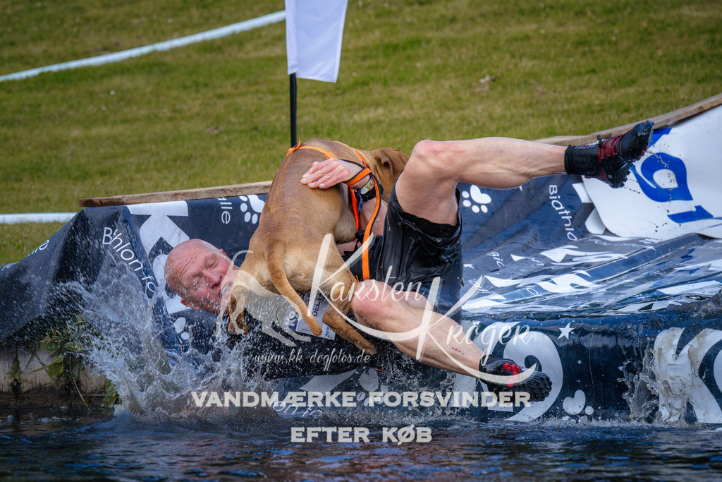 _ZZ947181002 | kk-dogfotos