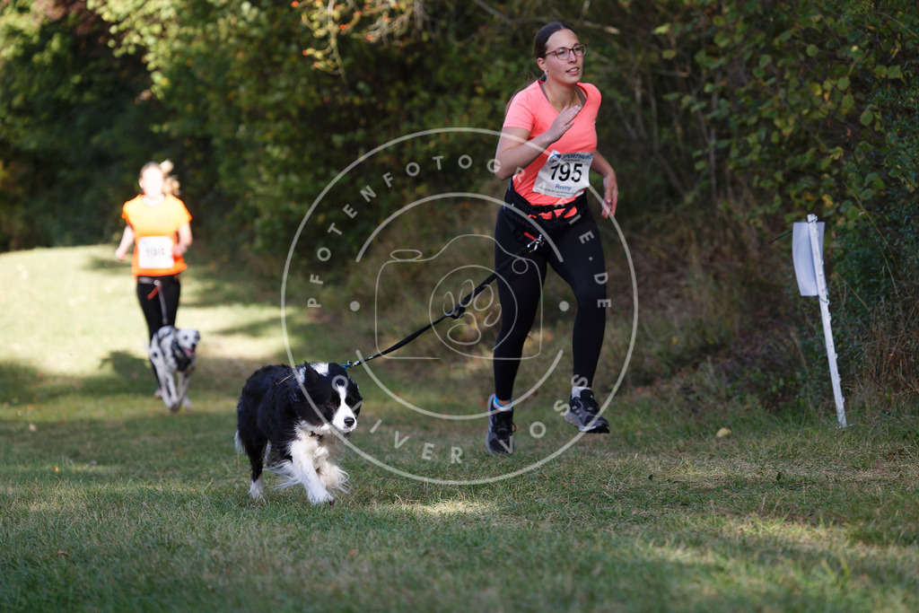 0L8A5722 | Hundefotografie, Tierfotograf, Pfotenfotografie, Fotoshooting Hund, Hunde Portrait, Hundesport, Hundeportraits, Heideshooting, Hunde, Sportfotograf, Hundefotograf, Turnierhundsport, THS,  - Realisiert mit Pictrs.com