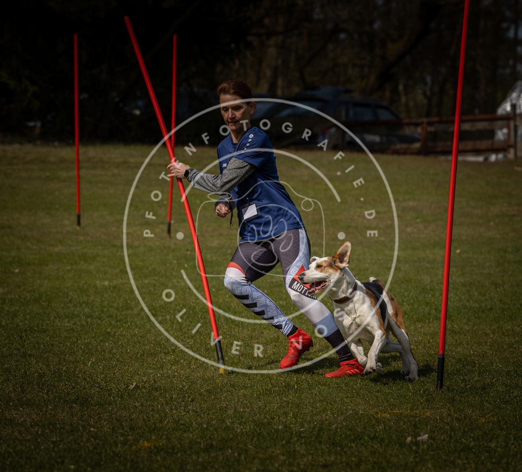 Pfotenfotografie_DV3A4472 | Hundefotografie, Tierfotograf, Pfotenfotografie, Fotoshooting Hund, Hunde Portrait, Hundesport, Hundeportraits, Heideshooting, Hunde, Sportfotograf, Hundefotograf, Turnierhundsport, THS,  - Realisiert mit Pictrs.com