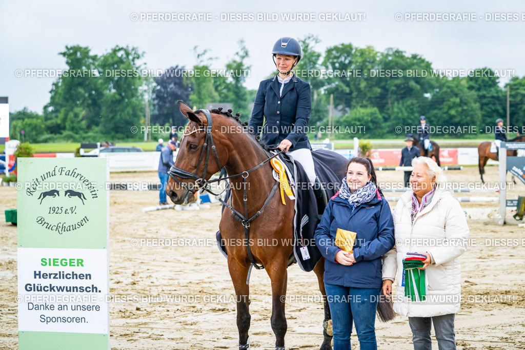 DSC02786 | Pferdegrafie