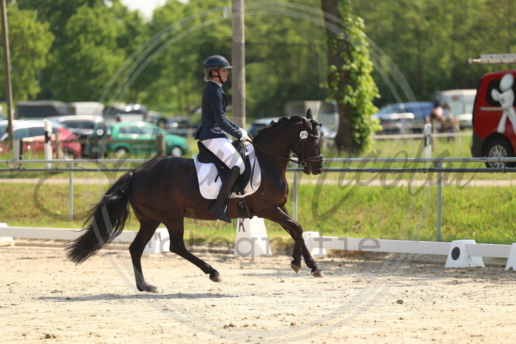 994A7233 | sabrinanicolaifotografie - Realisiert mit Pictrs.com