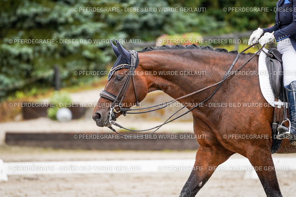 DSC00158 | Pferdegrafie