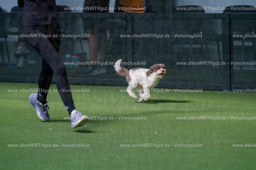 @allesWIRTHgut_Tierfotografie - www.allesWIRTHgut.de - 2604261451-7R503873 | Professionelle Tierfotografie in Mönchengladbach von Daniel Wirth (allesWIRTHgut). Liebevolle & natürliche Bilder von Hunden & Katzen für unvergessliche Erinnerungen.