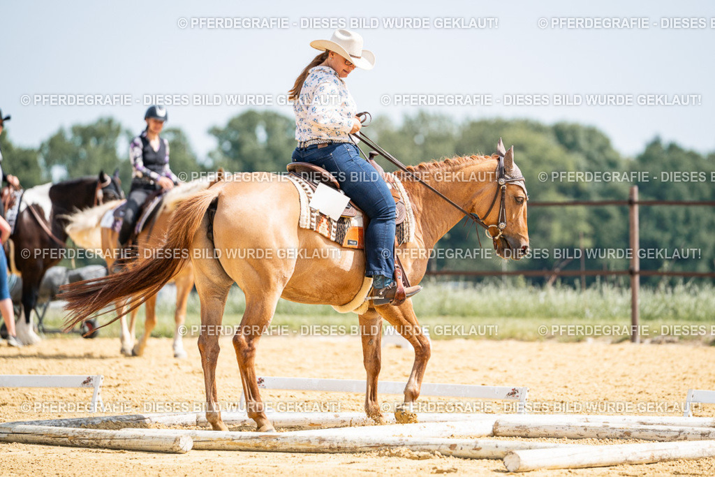 DSC09858 | Pferdegrafie