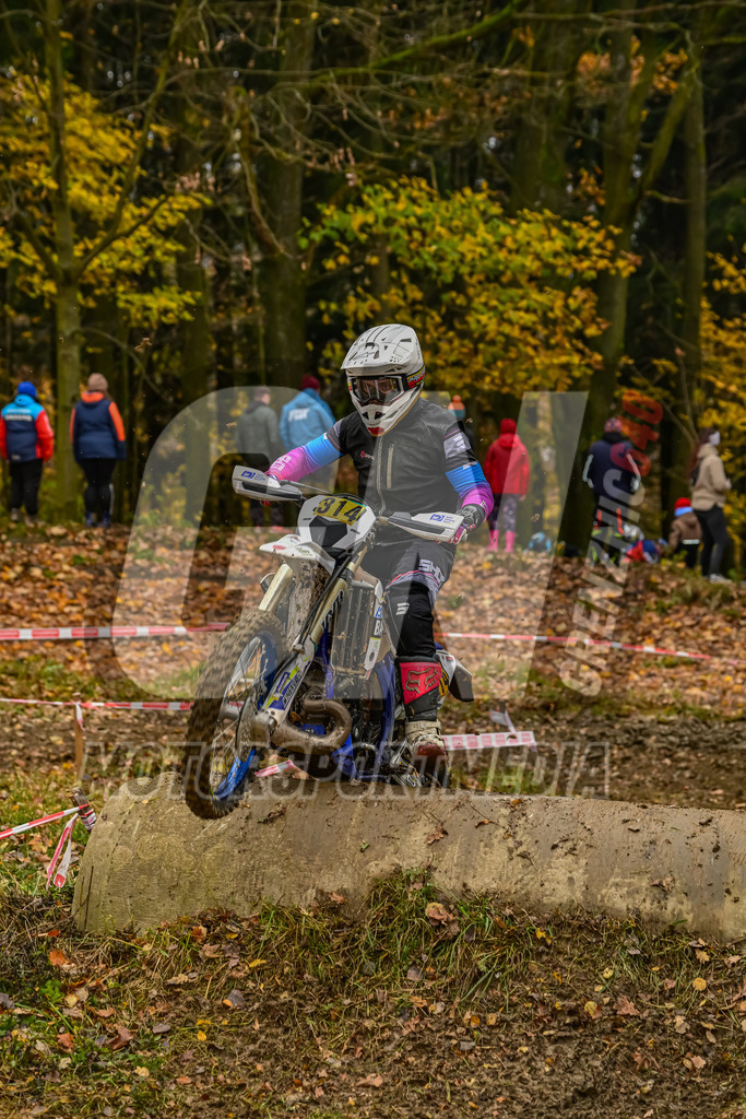 NZ8_6591 | grenznic640