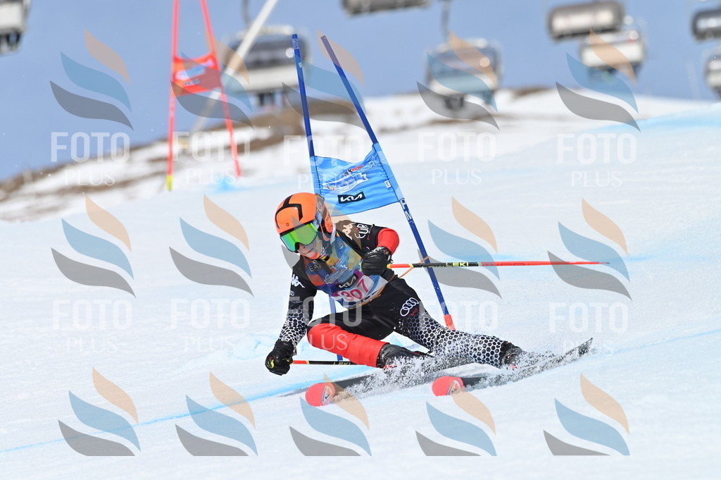 BGV_2887 | holidayphoto