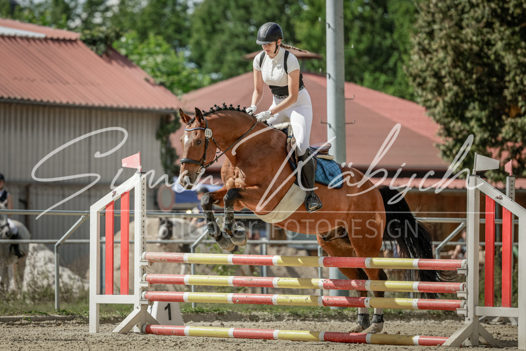 20250906-_3LI6183 | Tierfotografie Pferde, Hunde, Katzen, Haustiere.
Turnierfotografie Reitturniere, Reiten, Springreiten, Dressur in Hanau, dem Main-Kinzig-Kreis und dem Rhein-Main- Gebiet um Frankfurt