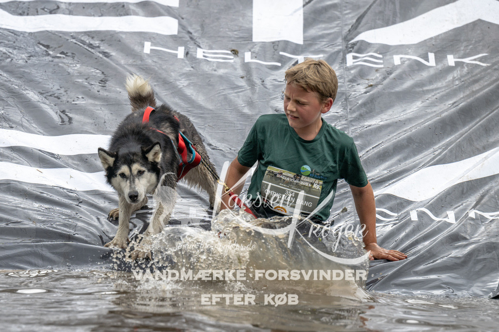 1414_ZZ94816 | kk-dogfotos