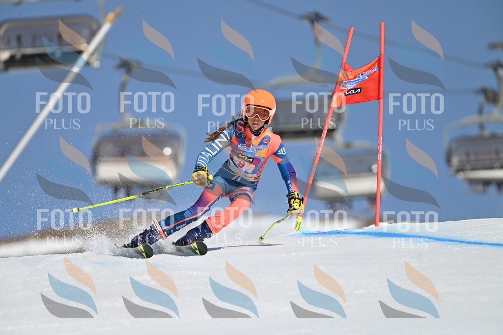 BGV_7725 | holidayphoto